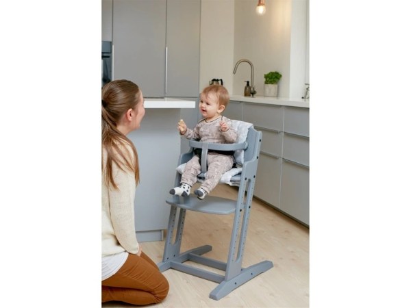 7342-8_2638-20-babydan-danchair-grey-rostouci-zidlicka-babydan-seda--vlozka-se-dokupuje-samostatne